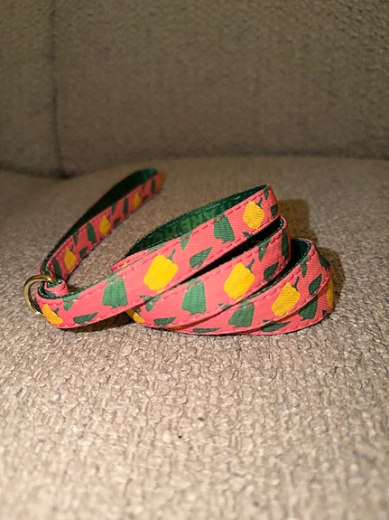 Koiran talutin