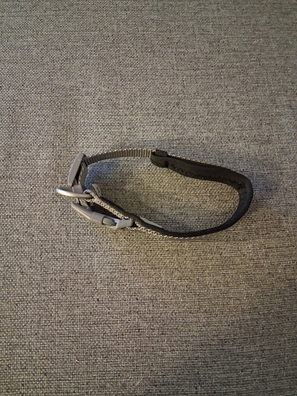 Kaulapanta