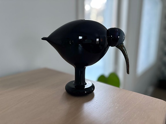 Toikka Oiva musta Ibis lintu Nuutajärvi