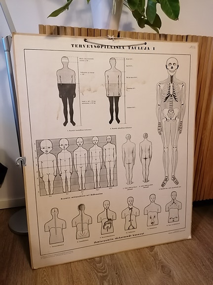 Terveysopillinen koulutaulu