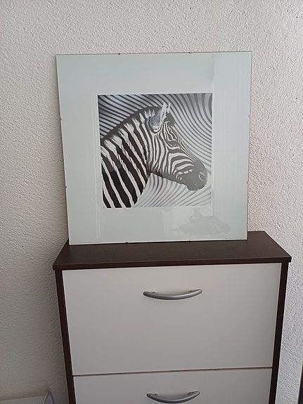 Seepra-taulu 50x50cm + vaihtokuvat 2 kpl