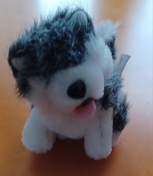 Pieni koira husky pehmolelu