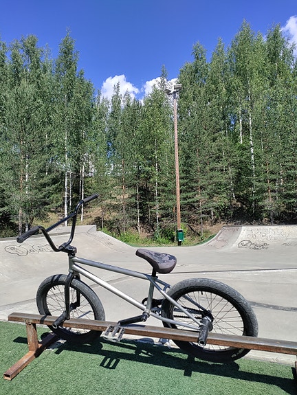 Fiend 21" custom bmx