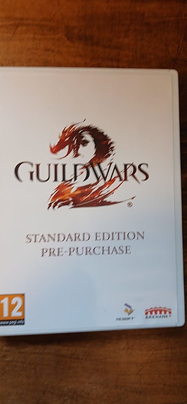 Guild Wars 2 PC CD-ROM