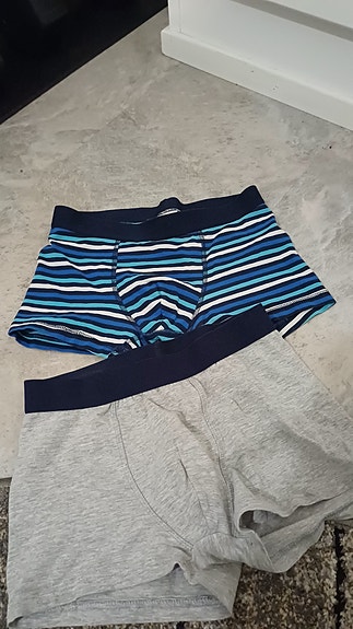Annetaan boxerit