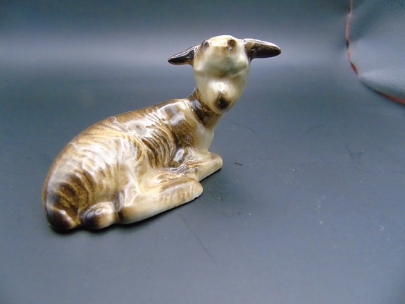 Arabian vuohi