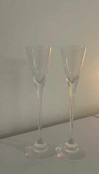 Iittala Aurora snapsilasit