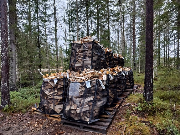 Koivuhalkoja