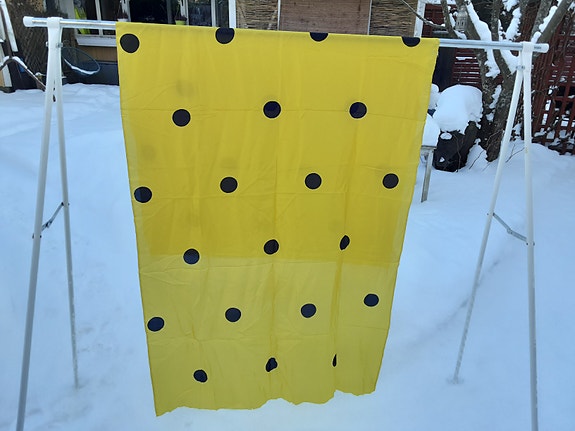 Vuokko Nurmesniemen pallosilkki