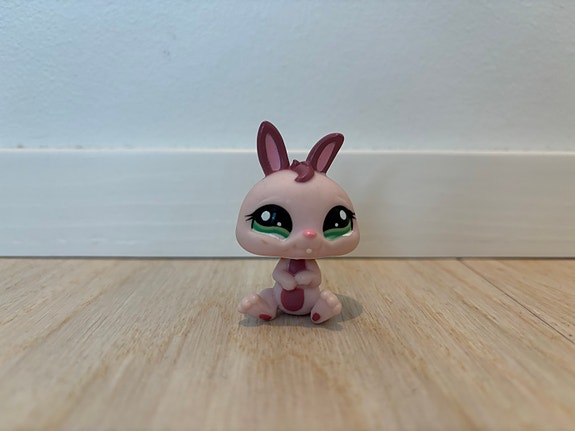LPS pupu