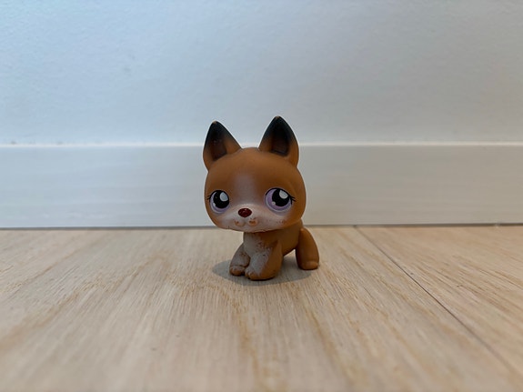 LPS koira