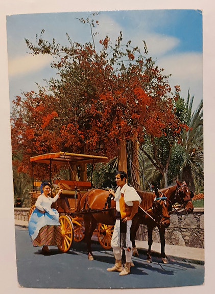 Product image 15 of 24