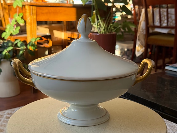 Rosenthal Josephine terriini