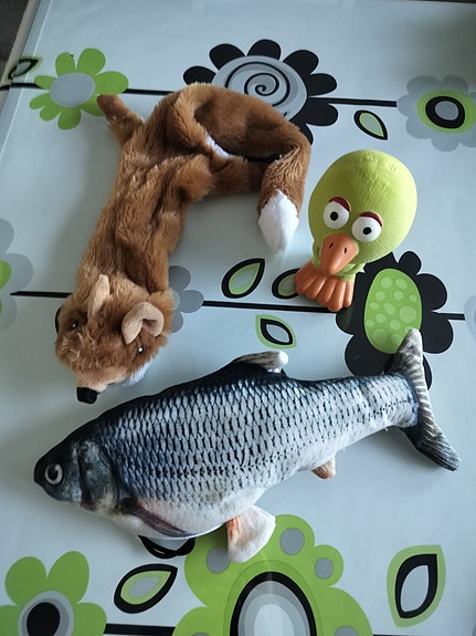 Koiran leluja