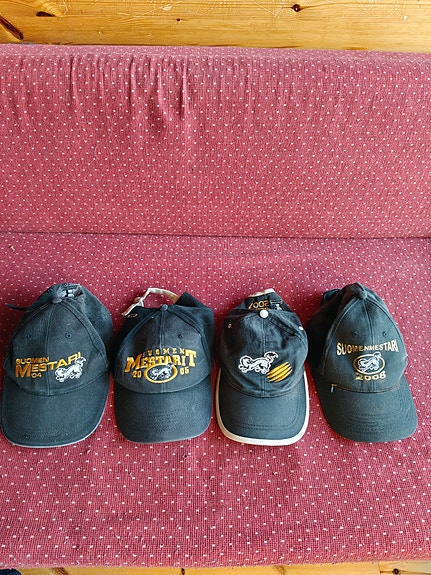 Kärppien mestaruuslippikset