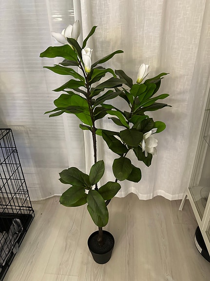 Jysk koristekasvi keinotekoinen magnolia