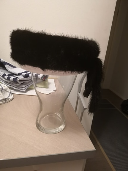 Musta turkispanta MINKKI?