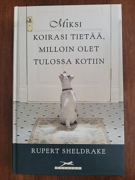 Miksi koirasi tietää milloin olet tulossa kotiin