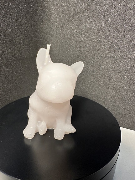 Ranskanbulldogin söpö muotoinen kynttilä