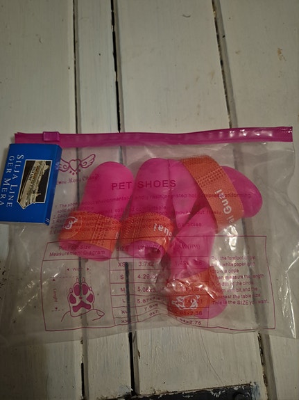 koiran kengät pinkki