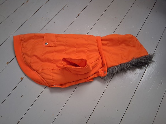 Oranssi koiran takki hupulla 38 cm