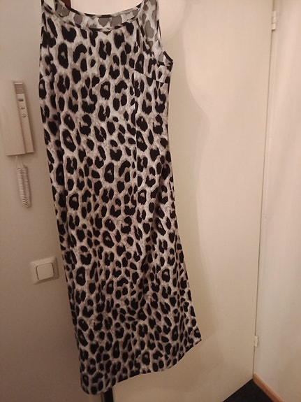 Pitkä kesämekko