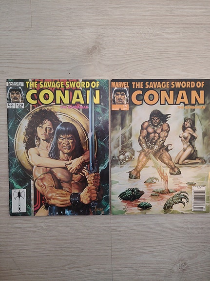 Savage Sword of Conan the Barbarian 2kpl