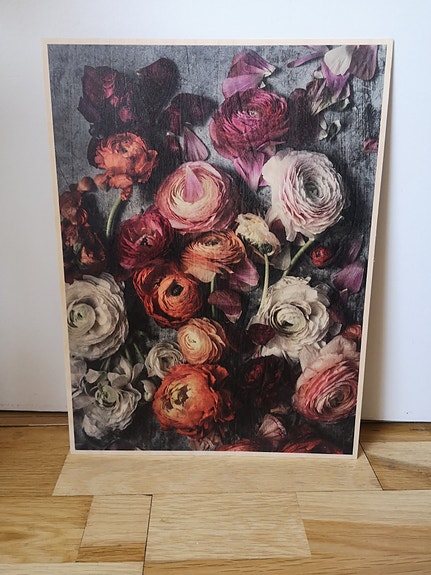 Plywood Print kuva / taulu