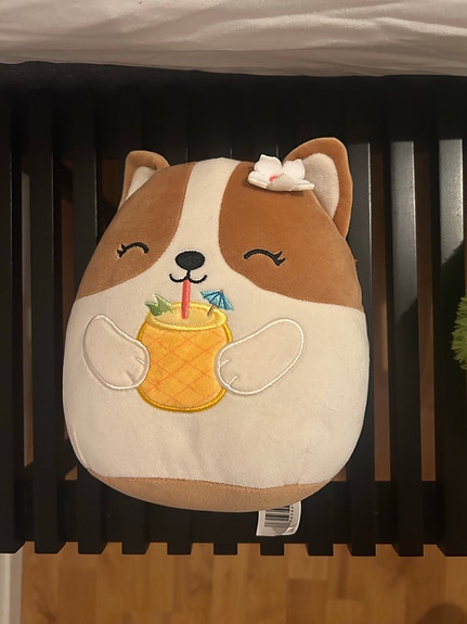 Squishmallows pehmolelu koira ruskea-valkoinen