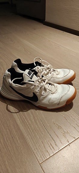 Nike Miesten Sisäpelikengät