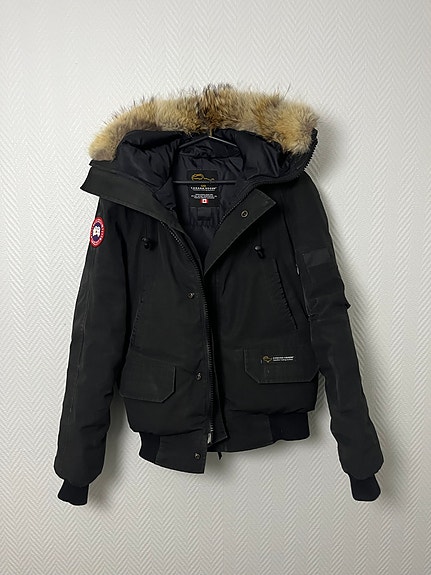 Canada goose chilliwack