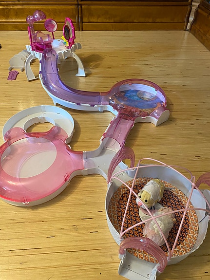 Zhu Zhu Pets