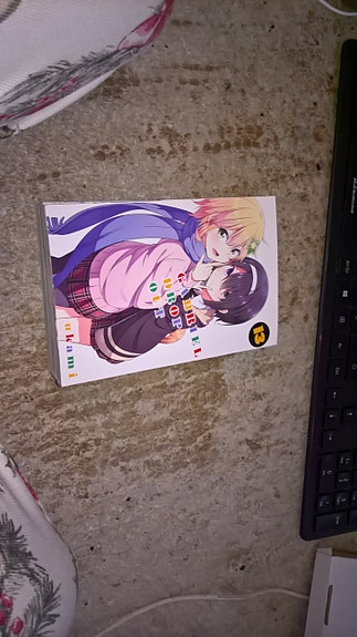 Gabriel Dropout 11-13