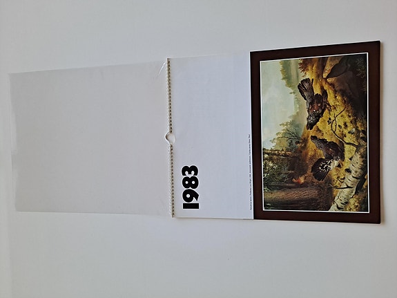 Hieno seinäkalenteri vuodelta 1983 - kuvitus Ferdinand von Wright