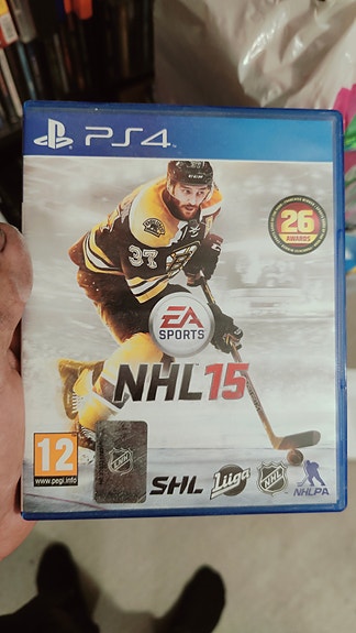 Pleikka ja tietokonepelejä