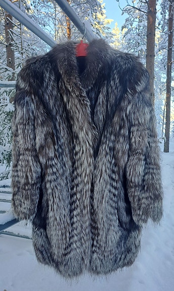 Hopeakettu turkki