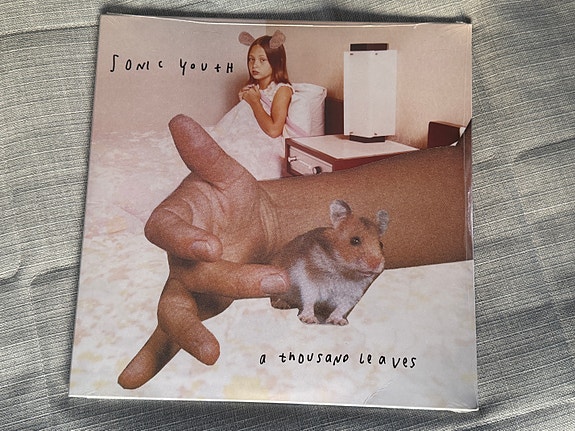 Sonic Youth – A Thousand Leaves 2LP (Mint / Avaamaton) | Tori