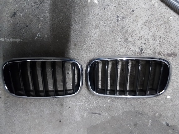 Bmw munuaiset