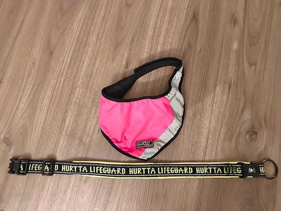 Koiran heijastimet