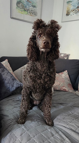 Product image 3 of 8