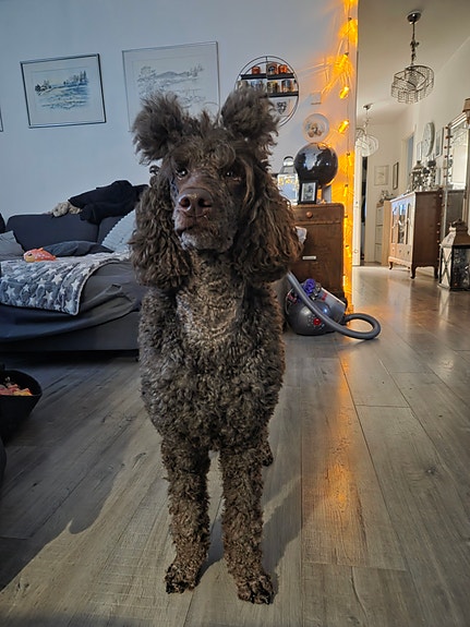 Product image 8 of 8