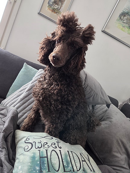 Product image 4 of 8