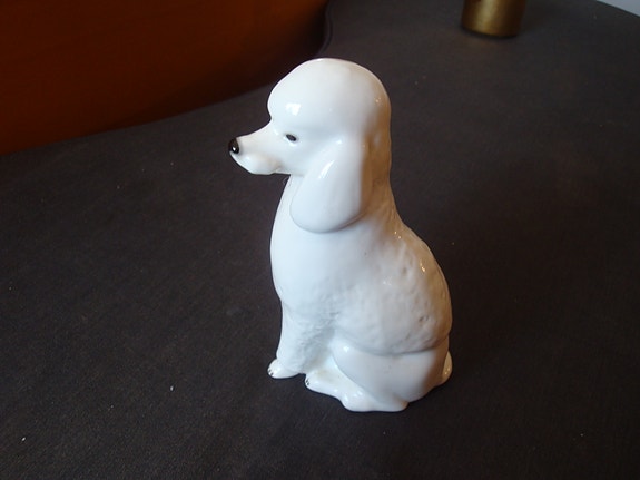 Lomonosovin koira   valkoinen