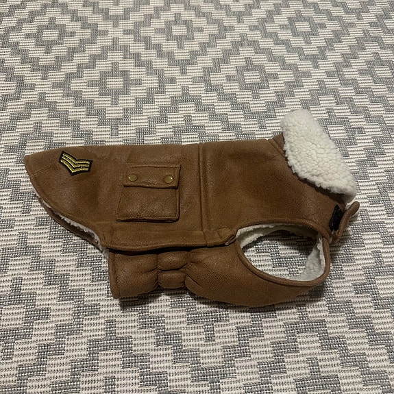 Koiran takki