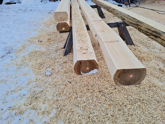 Hirsiä