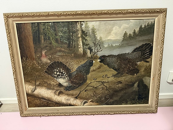 Taistelevat metsot maalaus