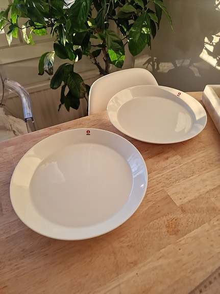 Iittala teema lautanen 2 kpl 26 cm