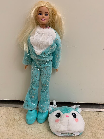 Barbie nukke vaatteilla ja asusteilla