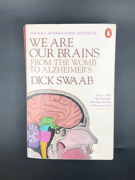 We Are Our Brains From the Womb to Alzheimer's by Dick Swaab (Book in English)