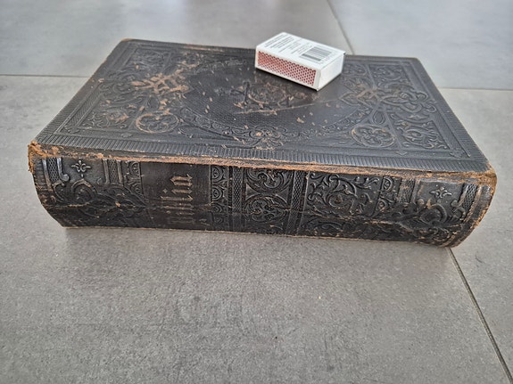 Biblia, pyhä Raamattu (v. 1889)